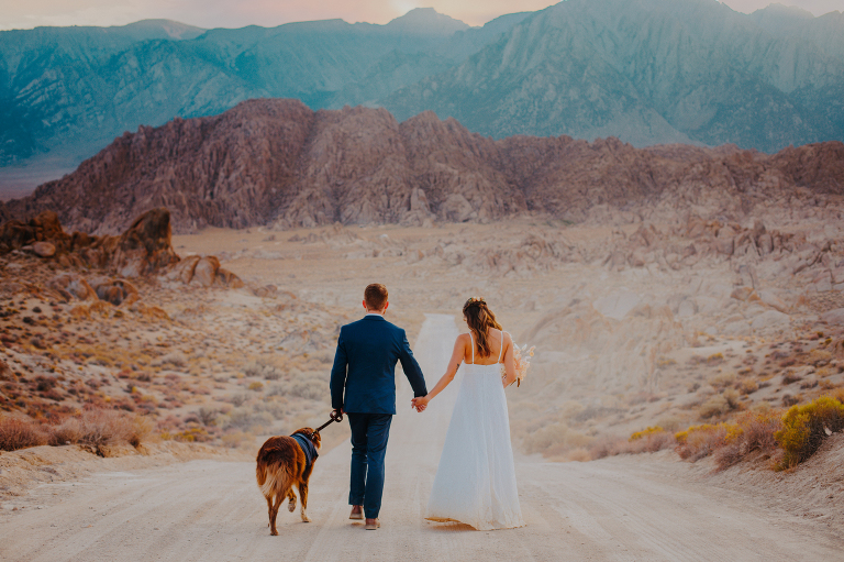 Paul and Kristi walk hand in hand down movie road with dog Wiley at their side after their elopement in Alabama Hills.