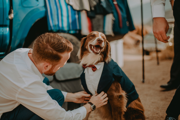 Wiley dog poses for a photo in his tuxedo at Paul and Kristi's Alabama Hills elopement.