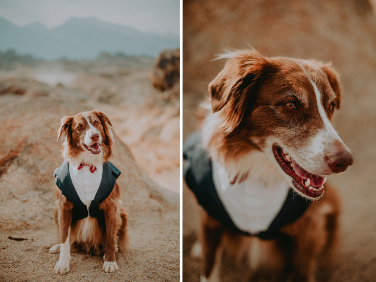 Wiley smiles for a photo in his tuxedo before the Alabama Hills elopement.